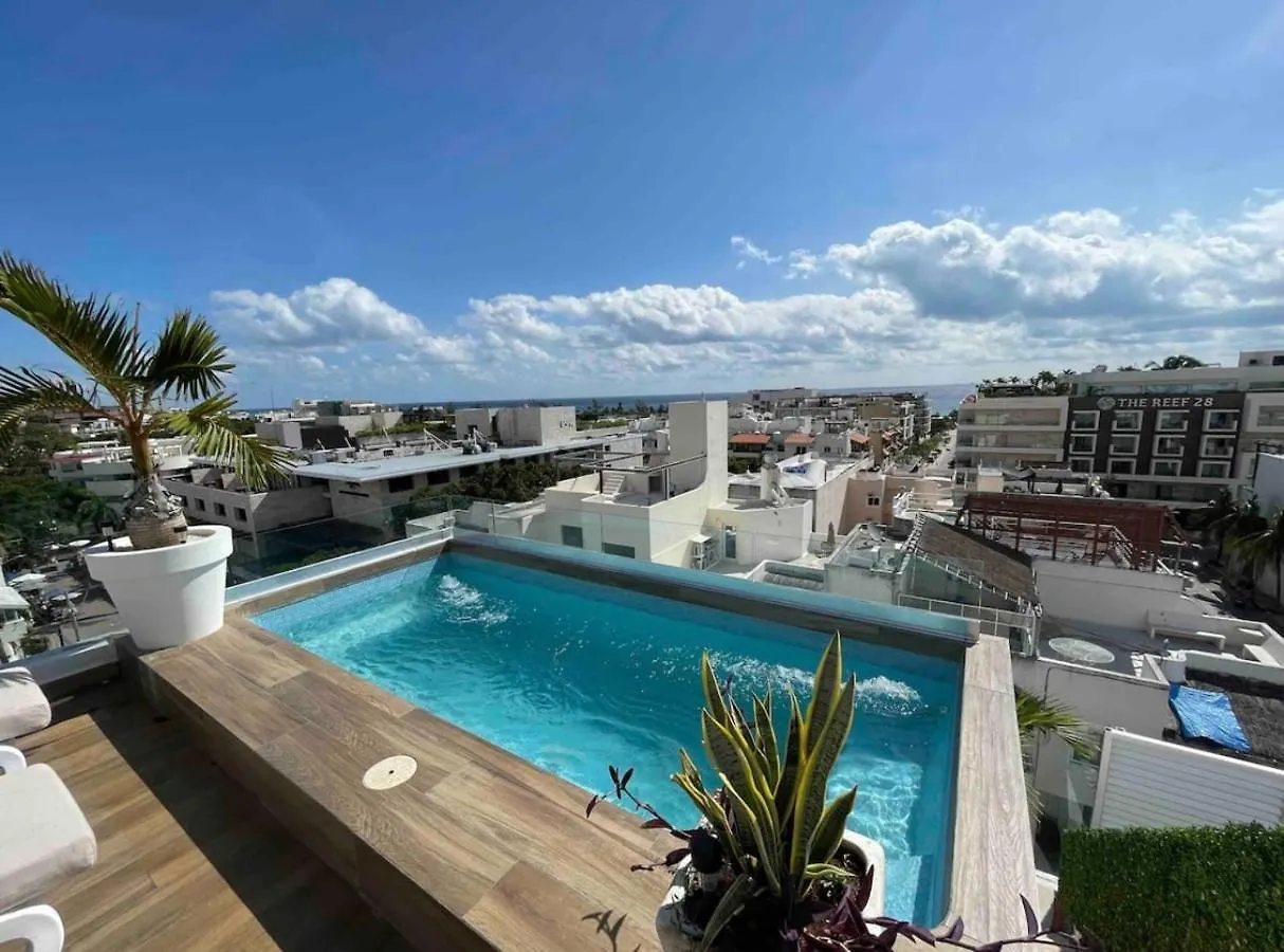 Lägenhet Best Penthouse On 5Av! Private Pool! Rooftop With Ocean View Playa del Carmen